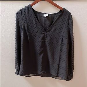 JCrew Pindot Long Sleeved Blouse